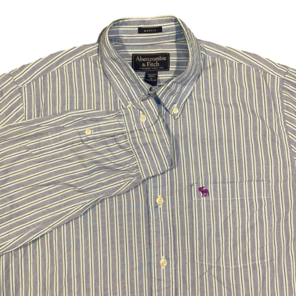 Abercrombie & Fitch Blue and Green Pinstripes Muscle Fit Long Sleeve Button-Down